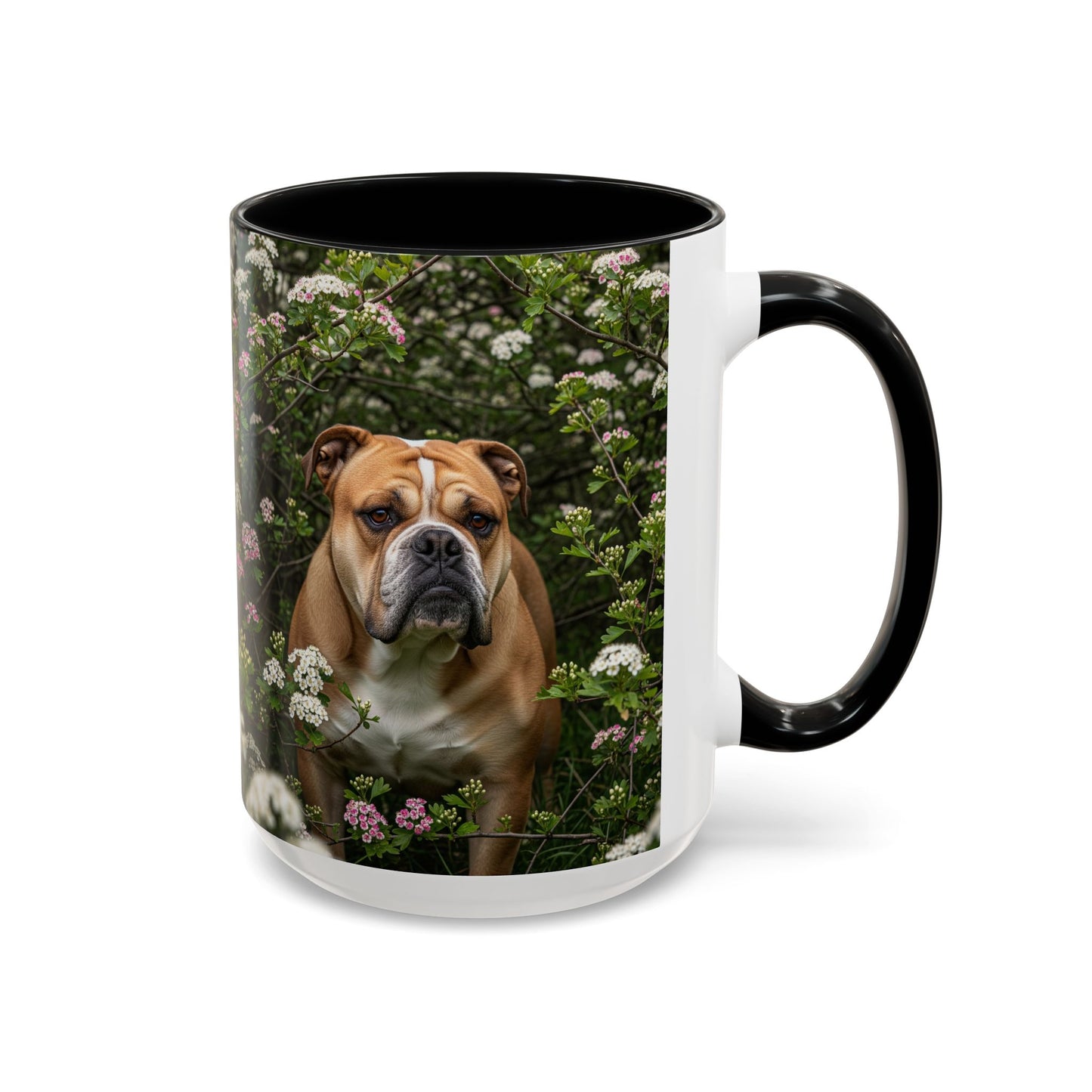 Mug à café Olde English Bulldogge Accent - Cadeau idéal pour les amoureux des chiens
