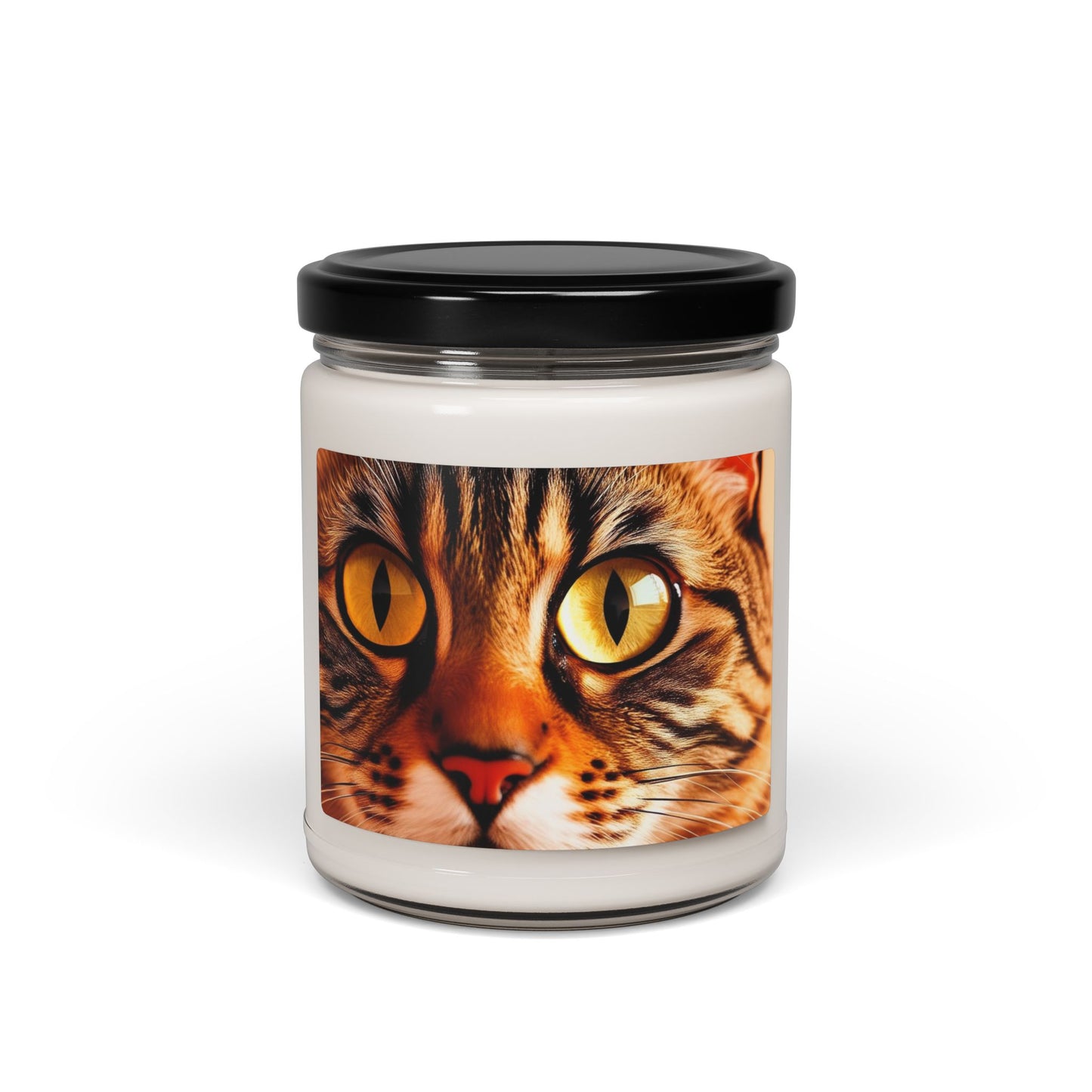 Close Up of a Cat's Eye- Scented Soy Candle, 9oz