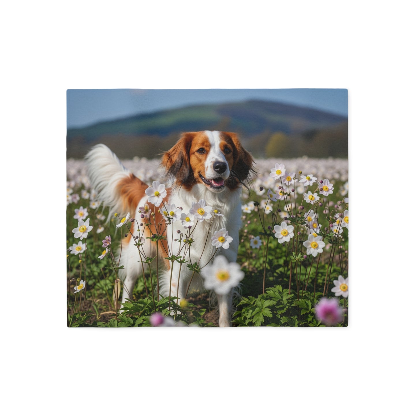 Nederlandse Kooikerhondje Sweatshirt Blanket
