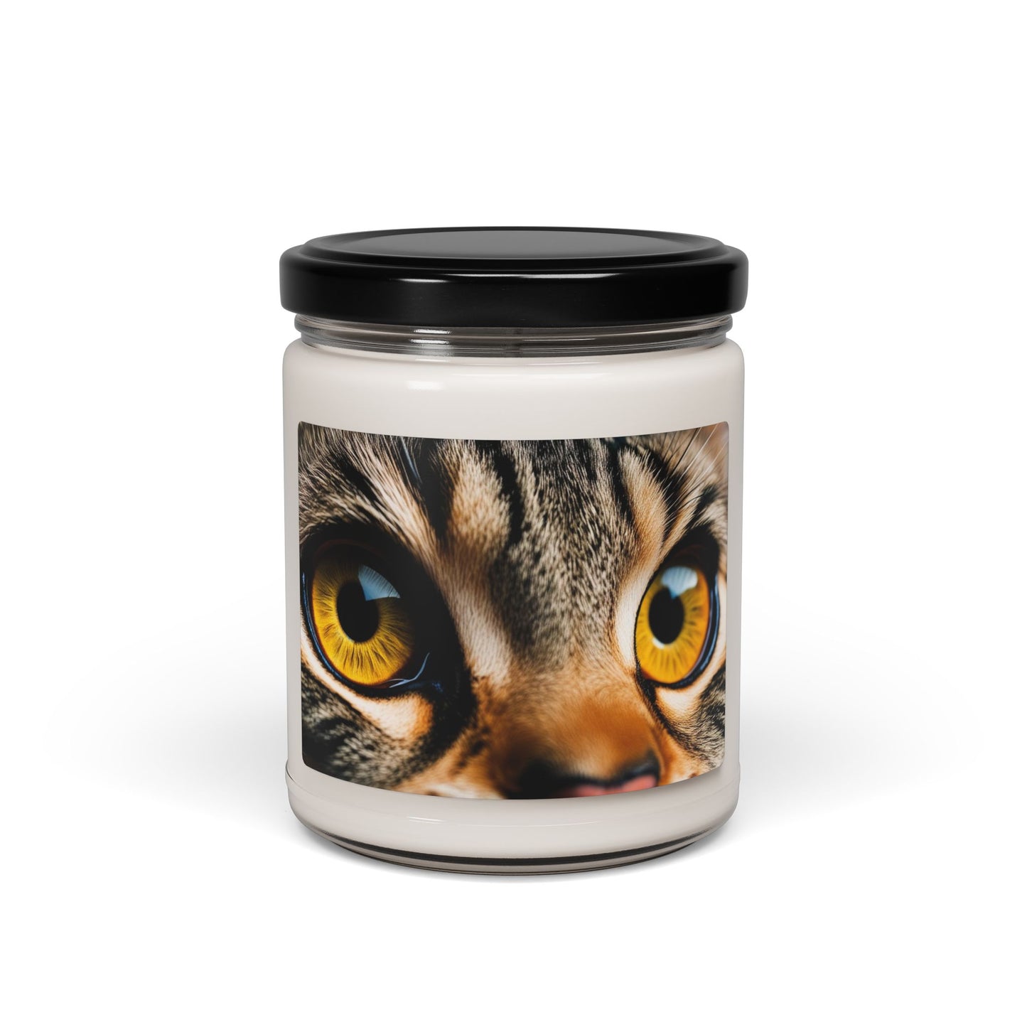 Close Up of a Cat's Eye- Scented Soy Candle, 9oz