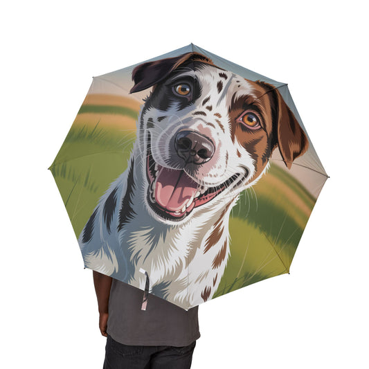 Telomian Semi-Automatic Foldable Umbrella