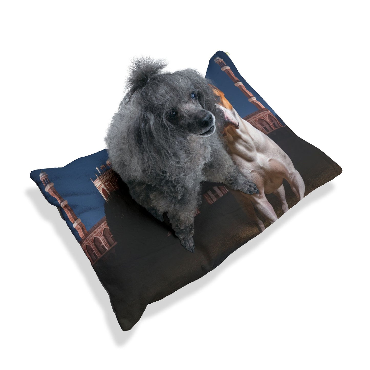 Gull Dong Pet Bed
