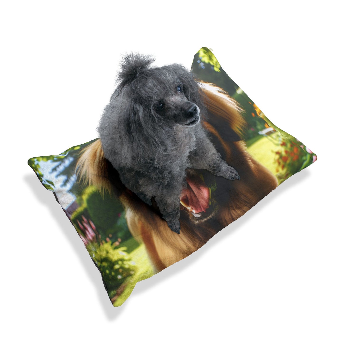Leonberger Pet Bed
