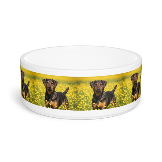 Drever Pet Bowl