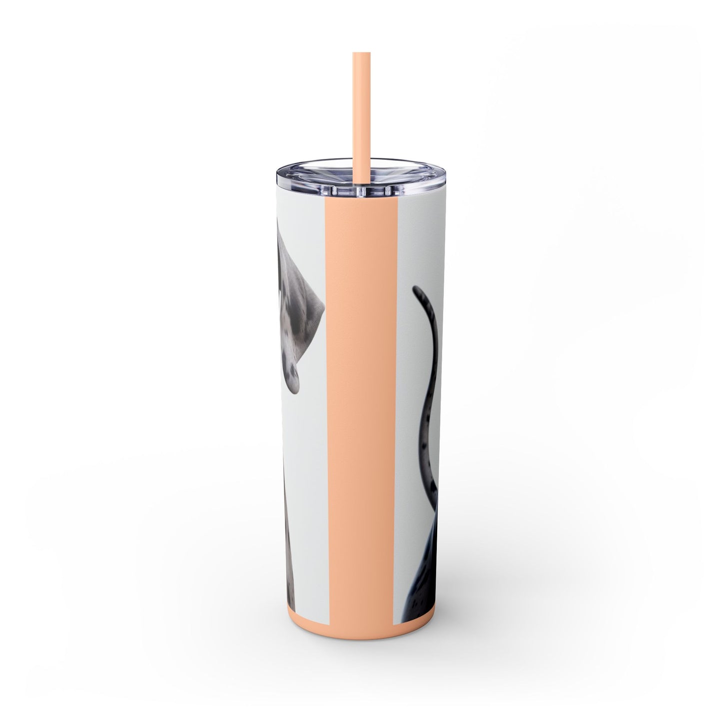 Great Dane Tumbler with Straw, 20oz