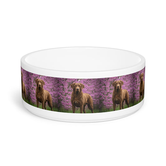 Chesapeake Bay Retriever Pet Bowl