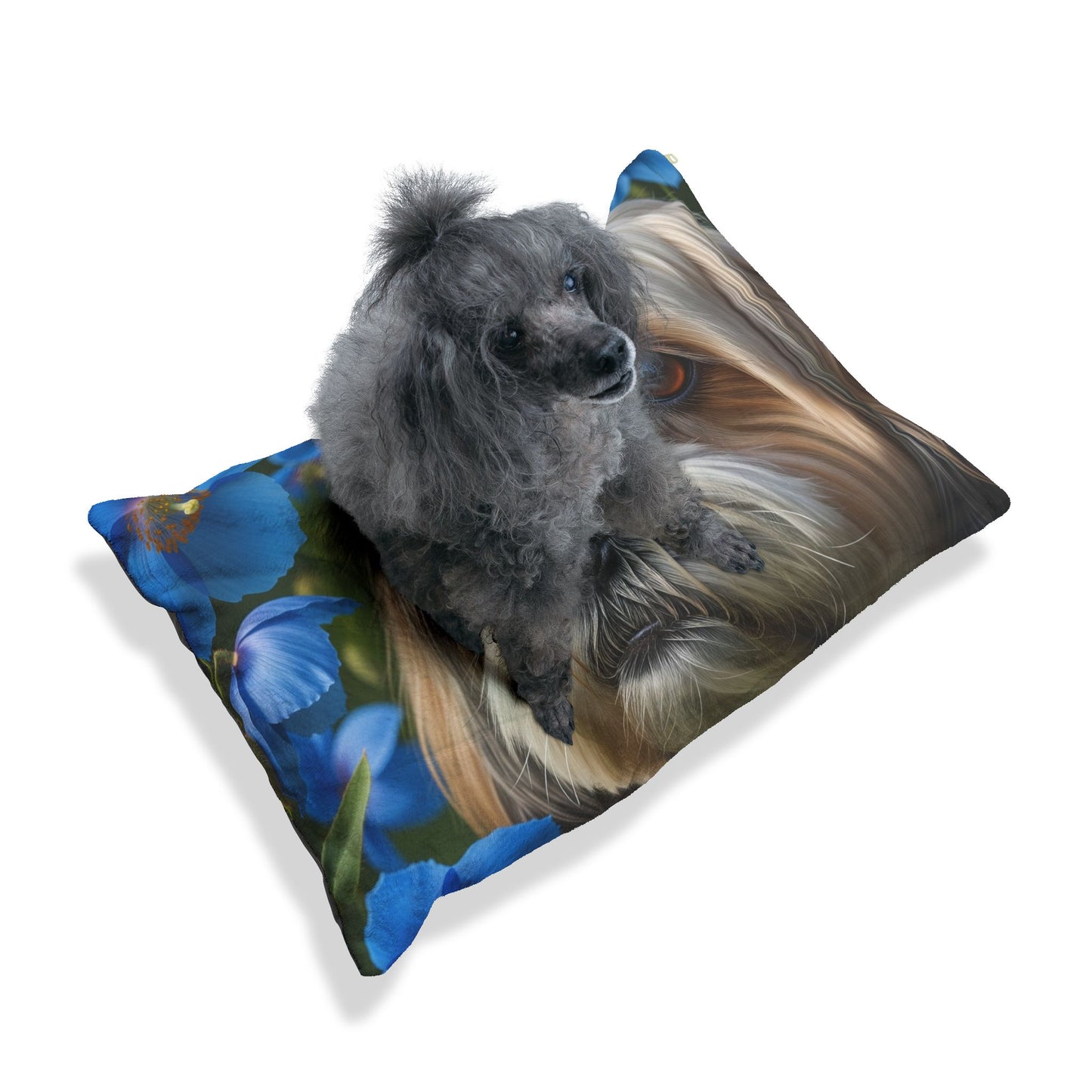 Lhasalier Pet Bed