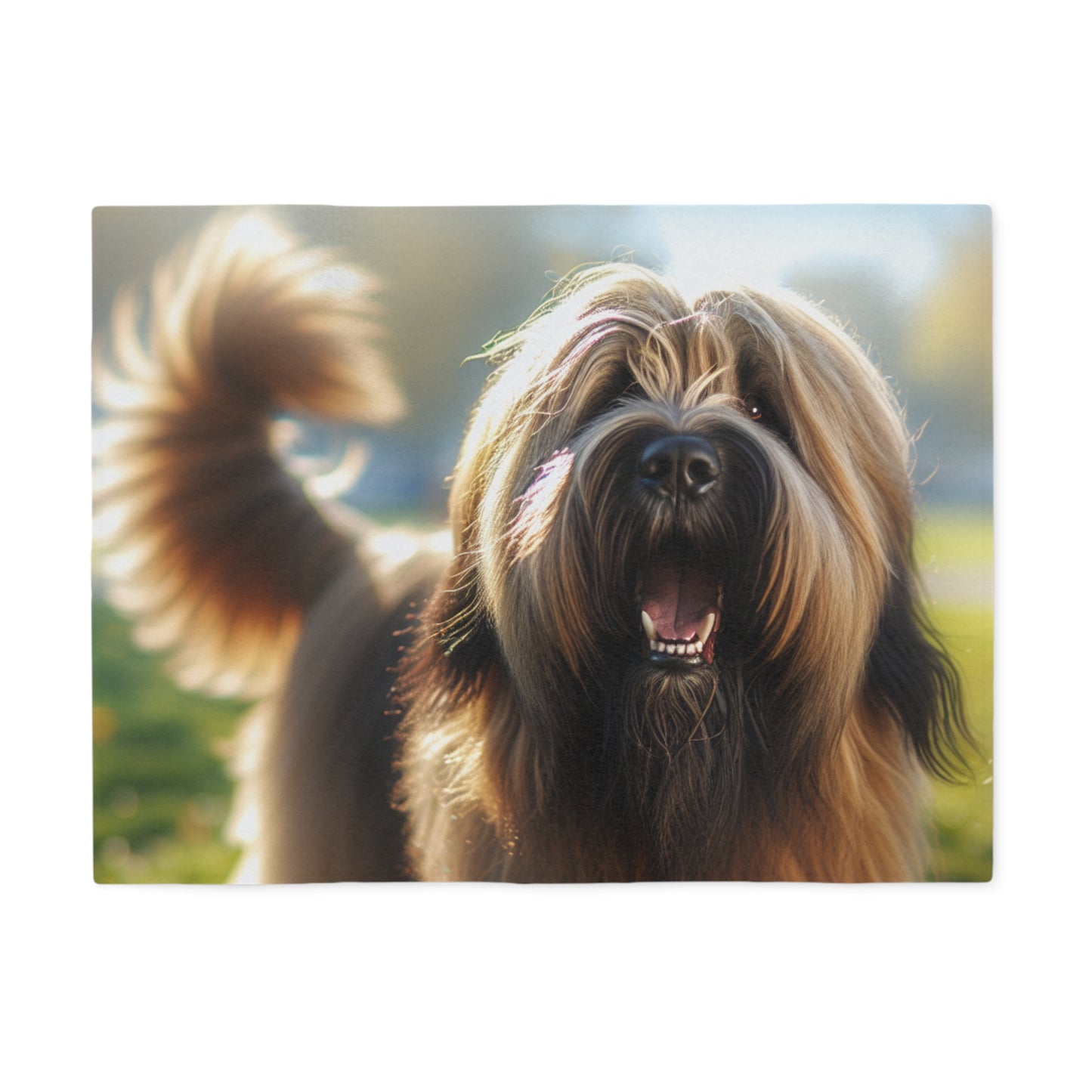 Briard Sweatshirt Blanket
