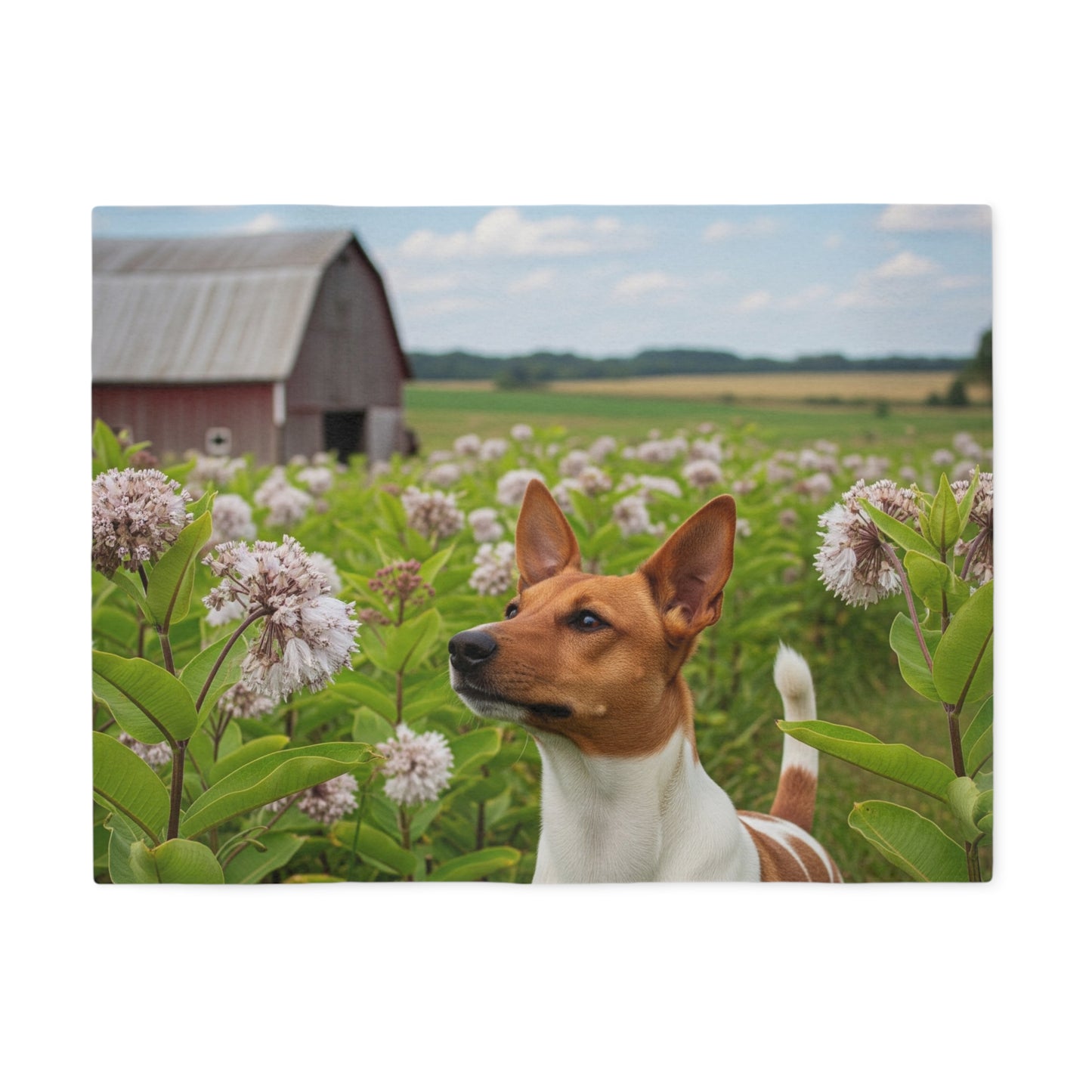 Couverture en sweat-shirt Rat Terrier