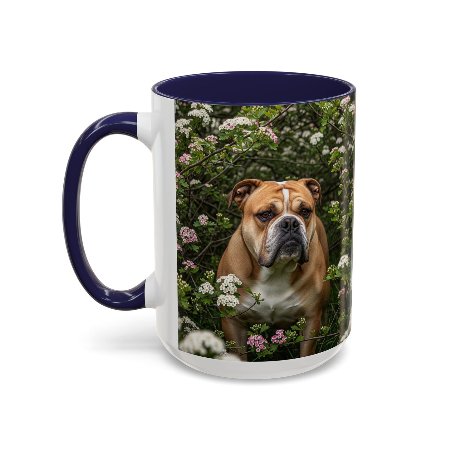 Mug à café Olde English Bulldogge Accent - Cadeau idéal pour les amoureux des chiens
