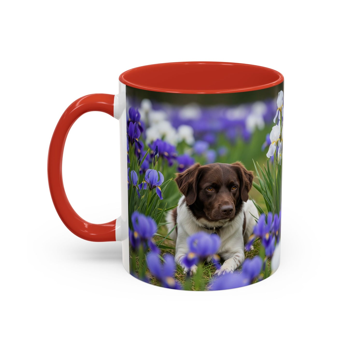 Mug Stabyhouns Accent - Cadeau idéal pour les amoureux des chiens