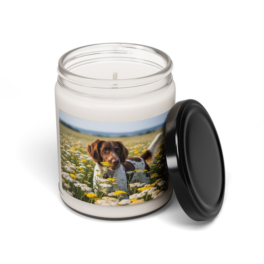 Drentsche Patrijshond- Scented Soy Candle, 9oz