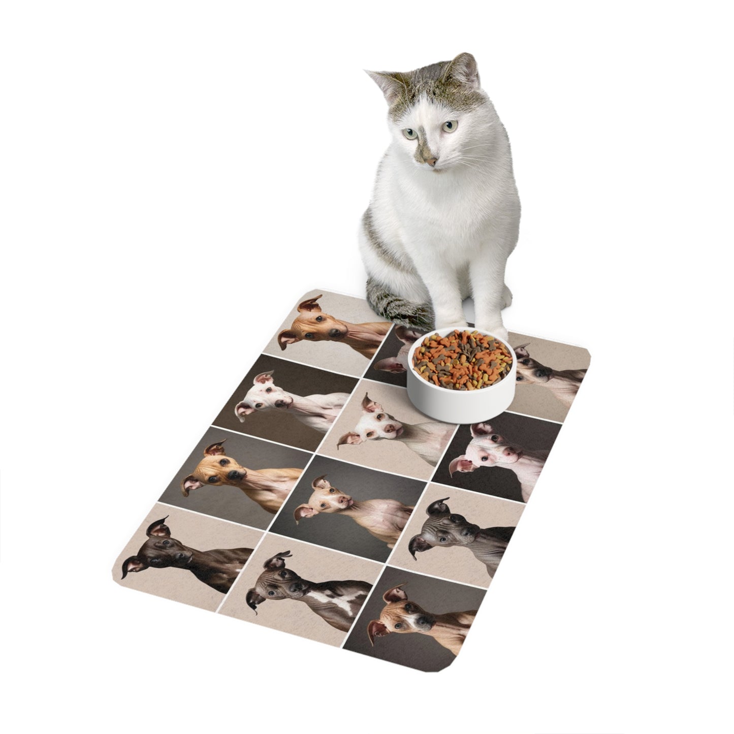 Pet Food Mat (12x18) - Hairless Dogs