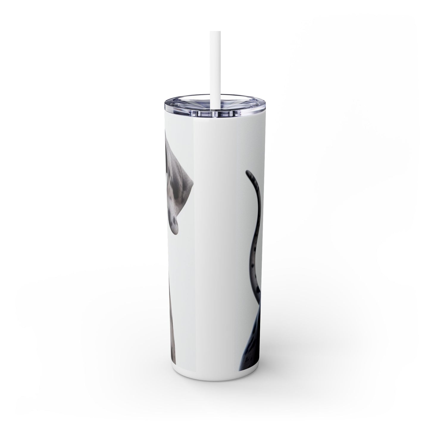 Great Dane Tumbler with Straw, 20oz