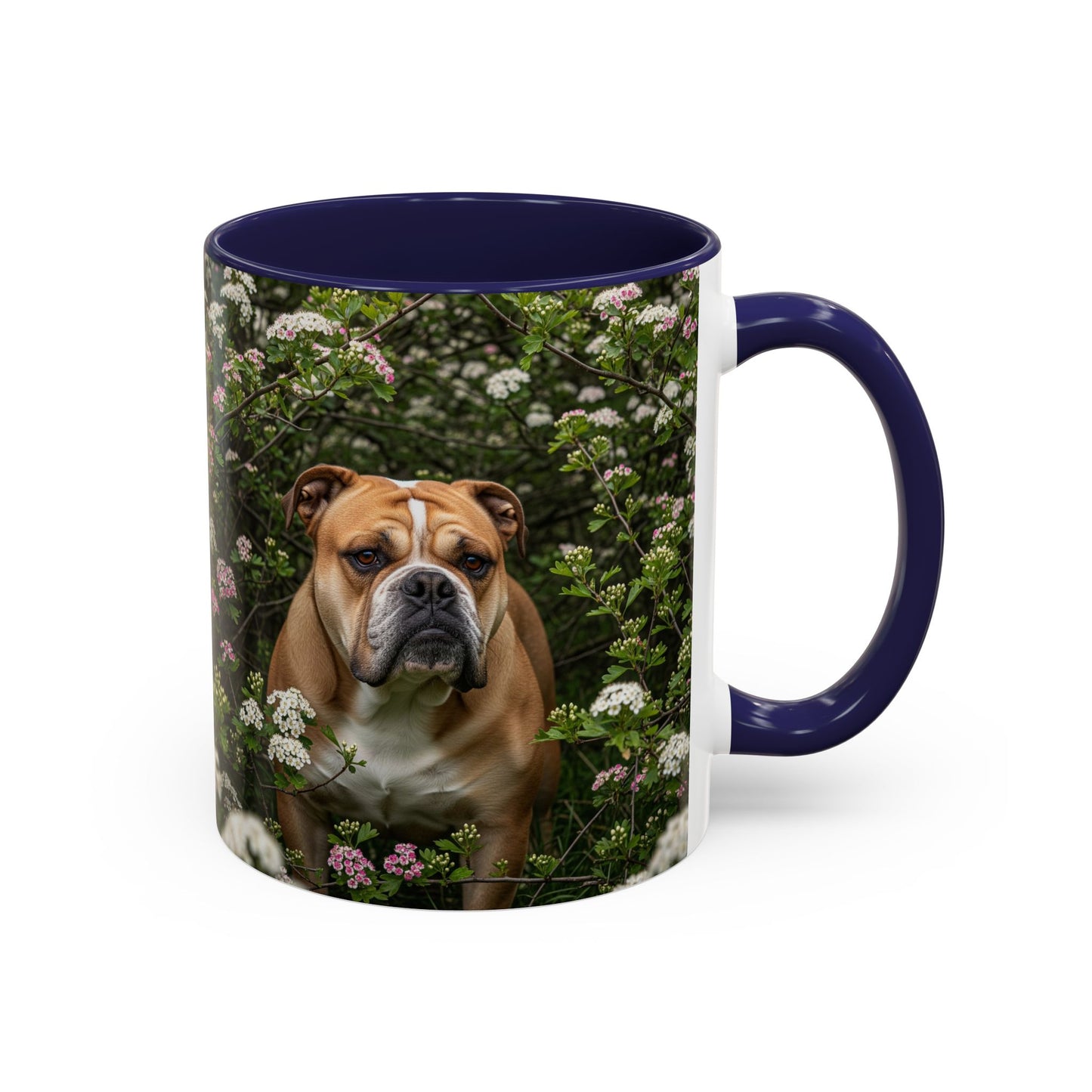 Mug à café Olde English Bulldogge Accent - Cadeau idéal pour les amoureux des chiens