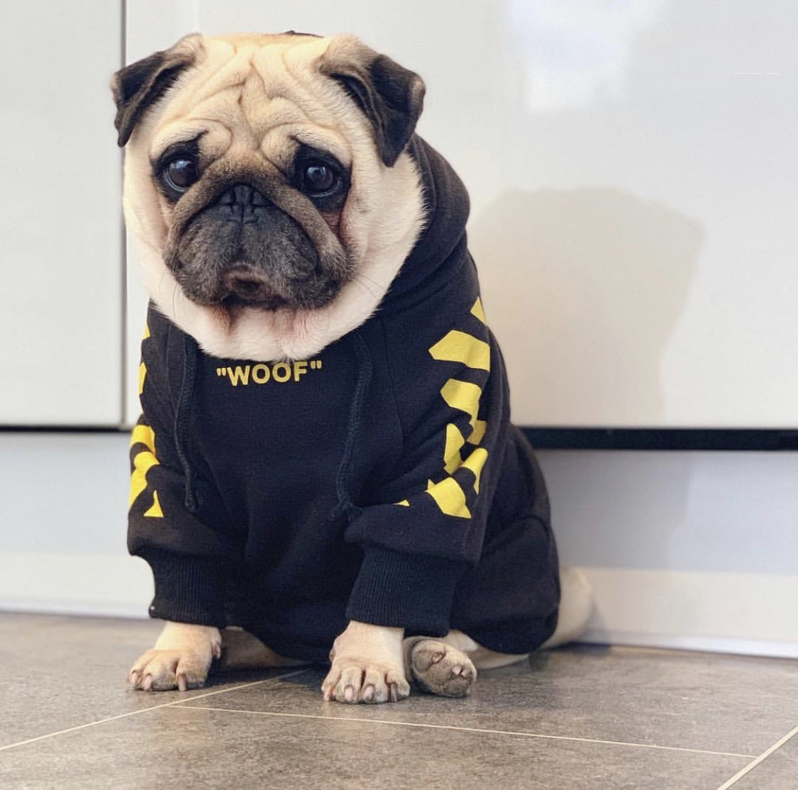 Sweat à capuche Fresh Pawz Woof pour chien