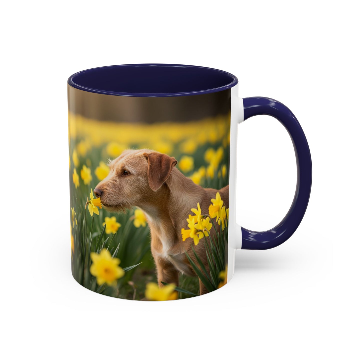 Mug à café avec motif Podengo Pequeno portugais - Cadeau idéal pour les amoureux des chiens
