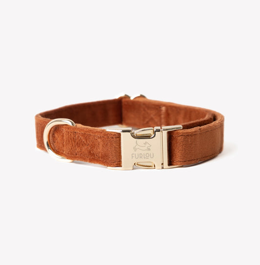 Collier pour chien en velours « Clay »