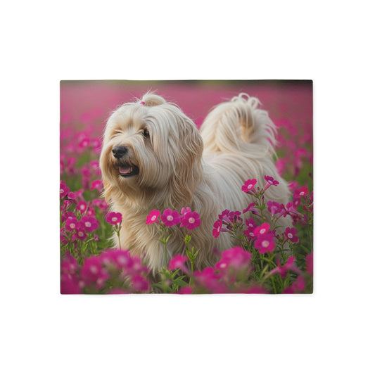 Tibetan Terrier Sweatshirt Blanket