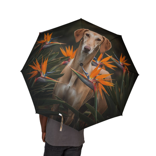 Azawakh Semi-Automatic Foldable Umbrella