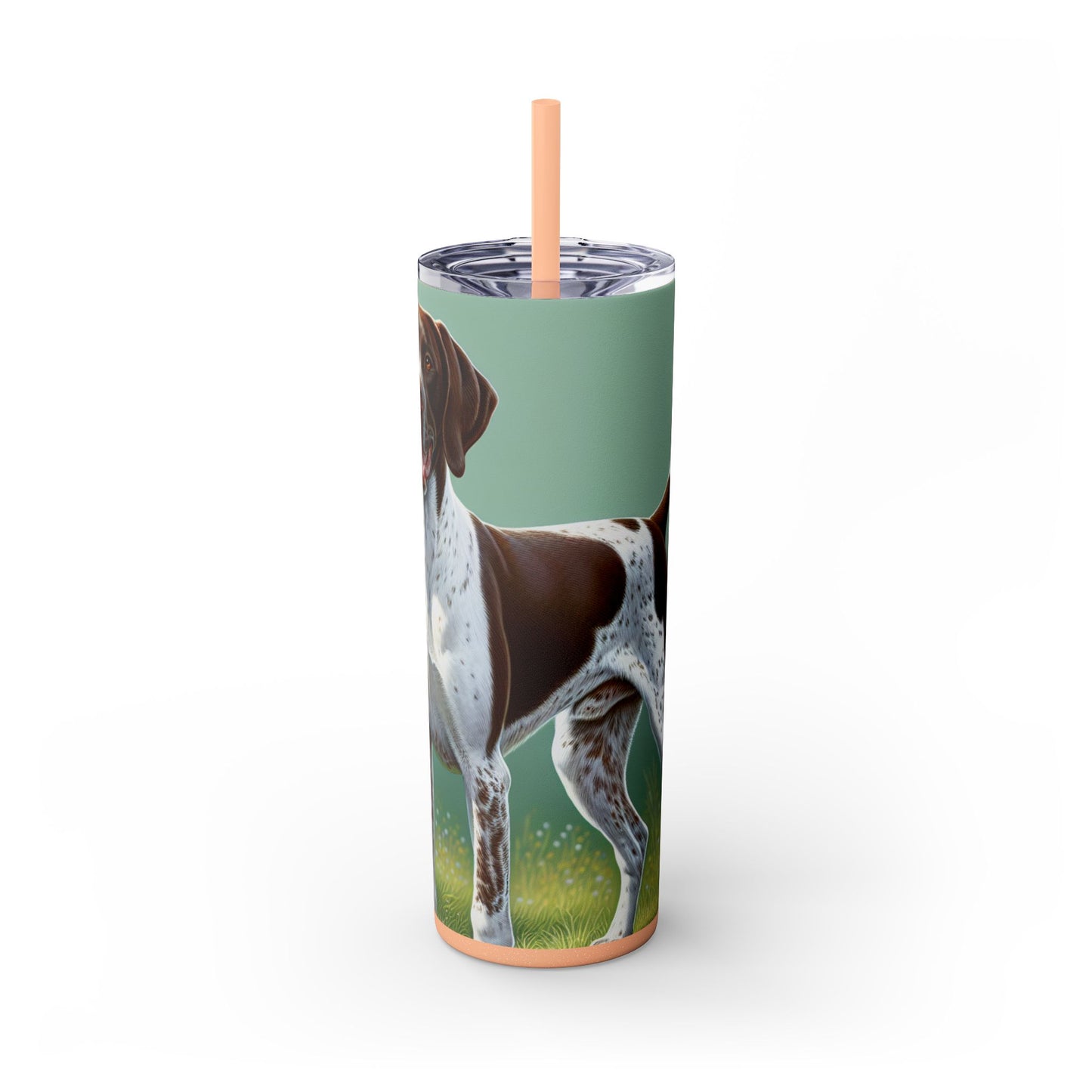 Pointer Skinny Tumbler with Straw, 20oz