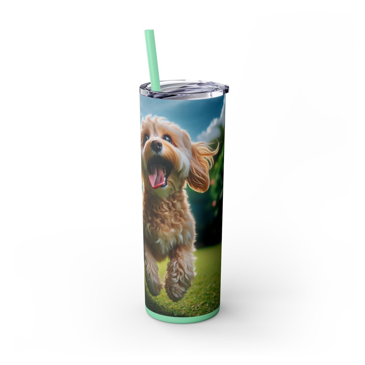 Skinny Tumbler with Straw – 20 oz Stainless Steel Cup
