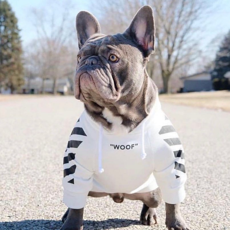 Sweat à capuche Fresh Pawz Woof pour chien