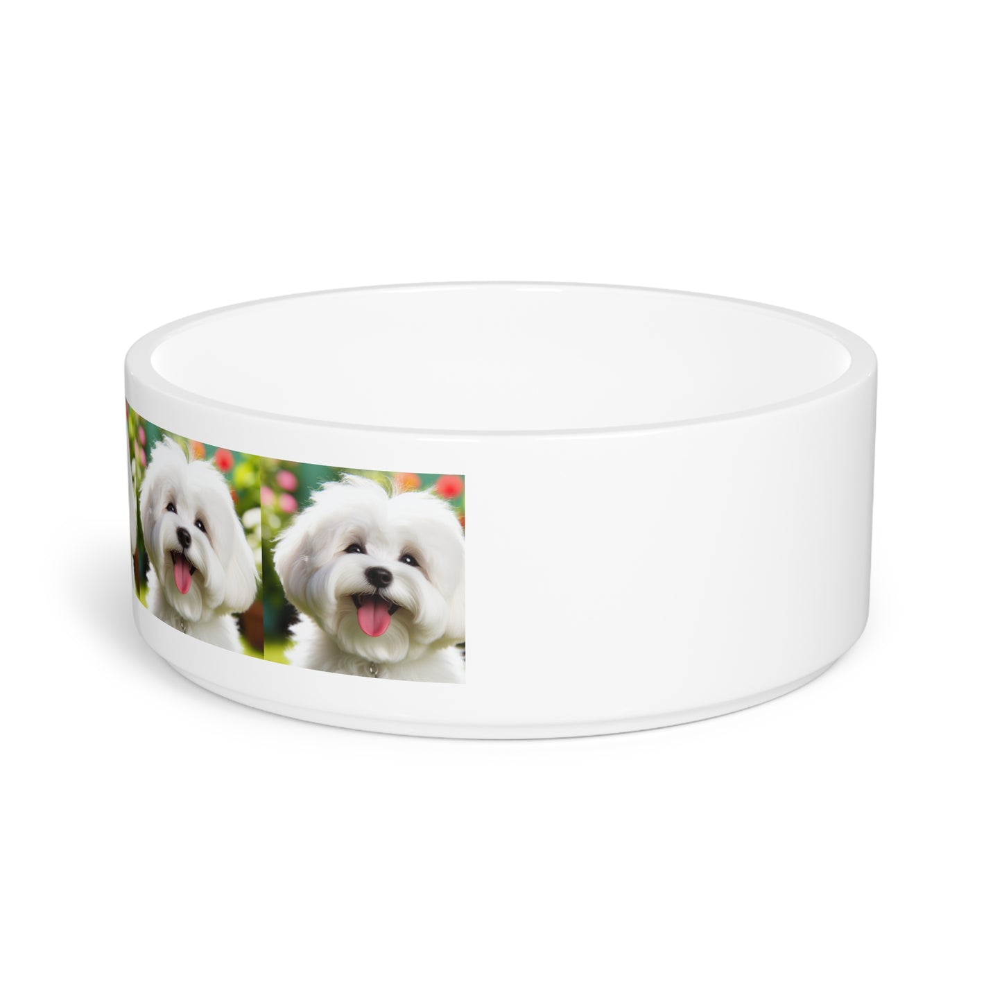 Coton de Tulear Dog Pet Bowl