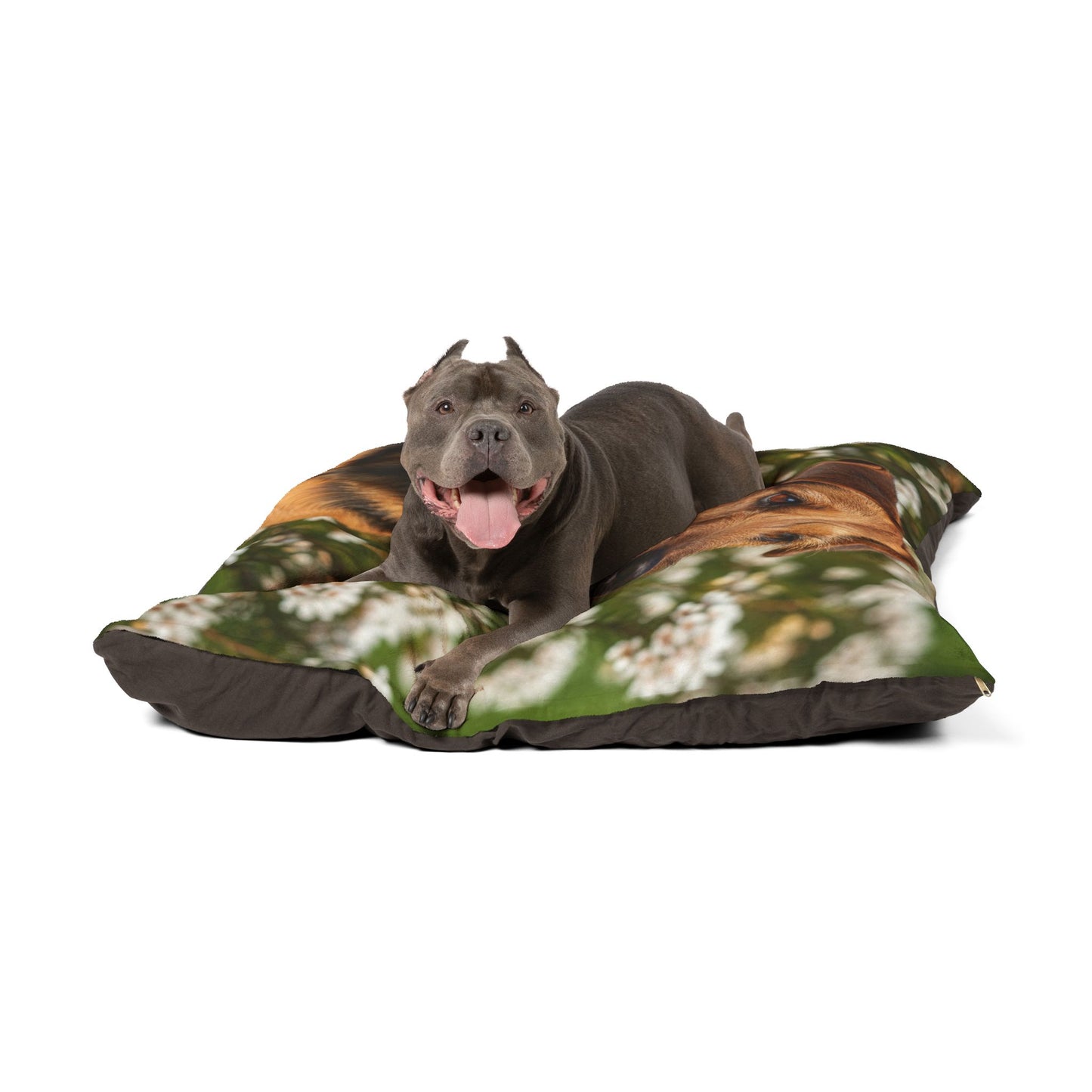 Tenterfield Terrier Pet Bed