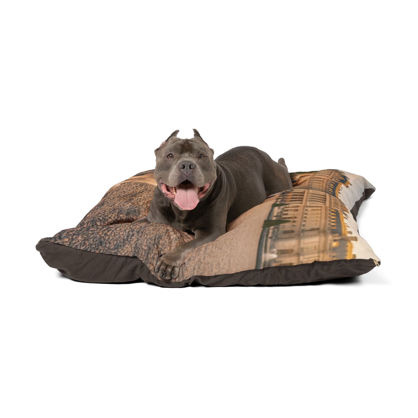 Löwchen Pet Bed