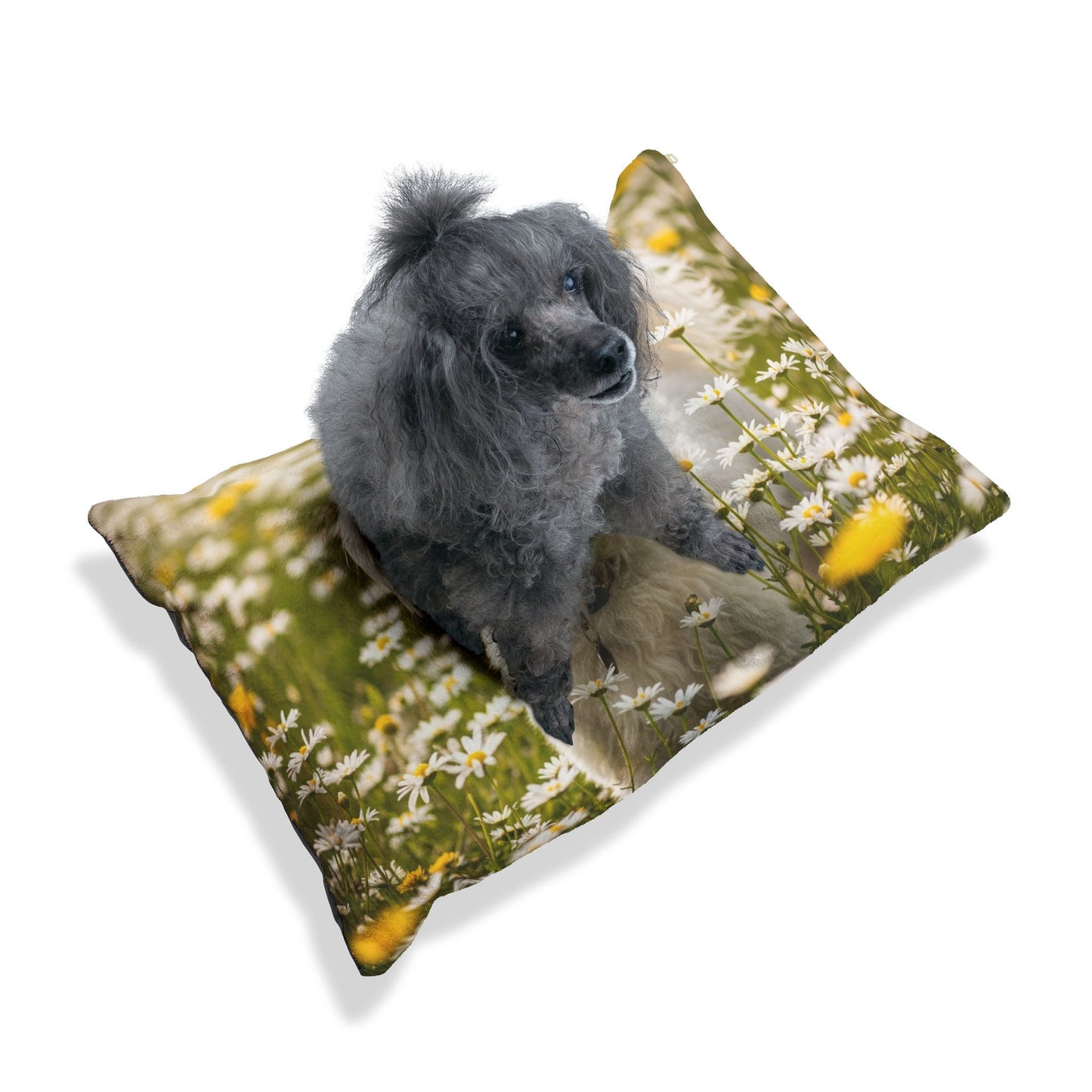 Lowchen Pet Bed