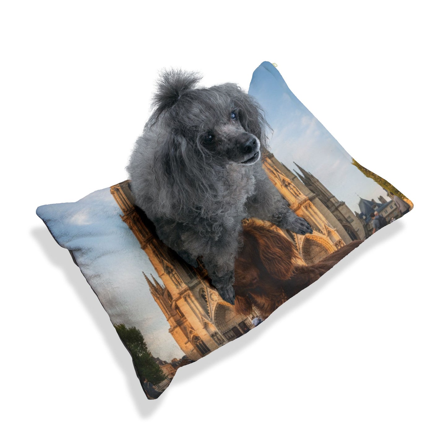 Pont-Audemer Spaniel Pet Bed