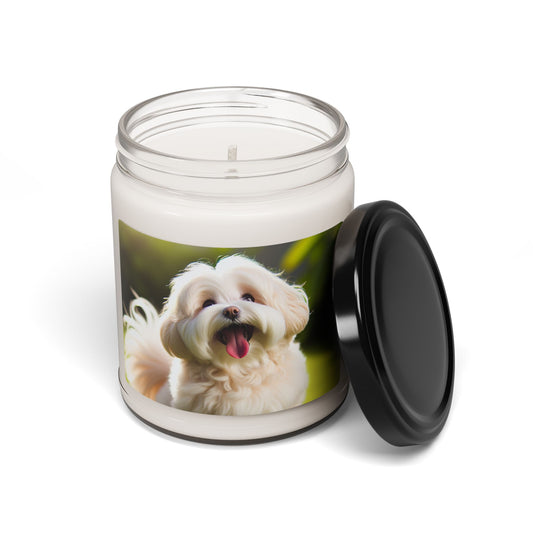 Havanese- Scented Soy Candle, 9oz