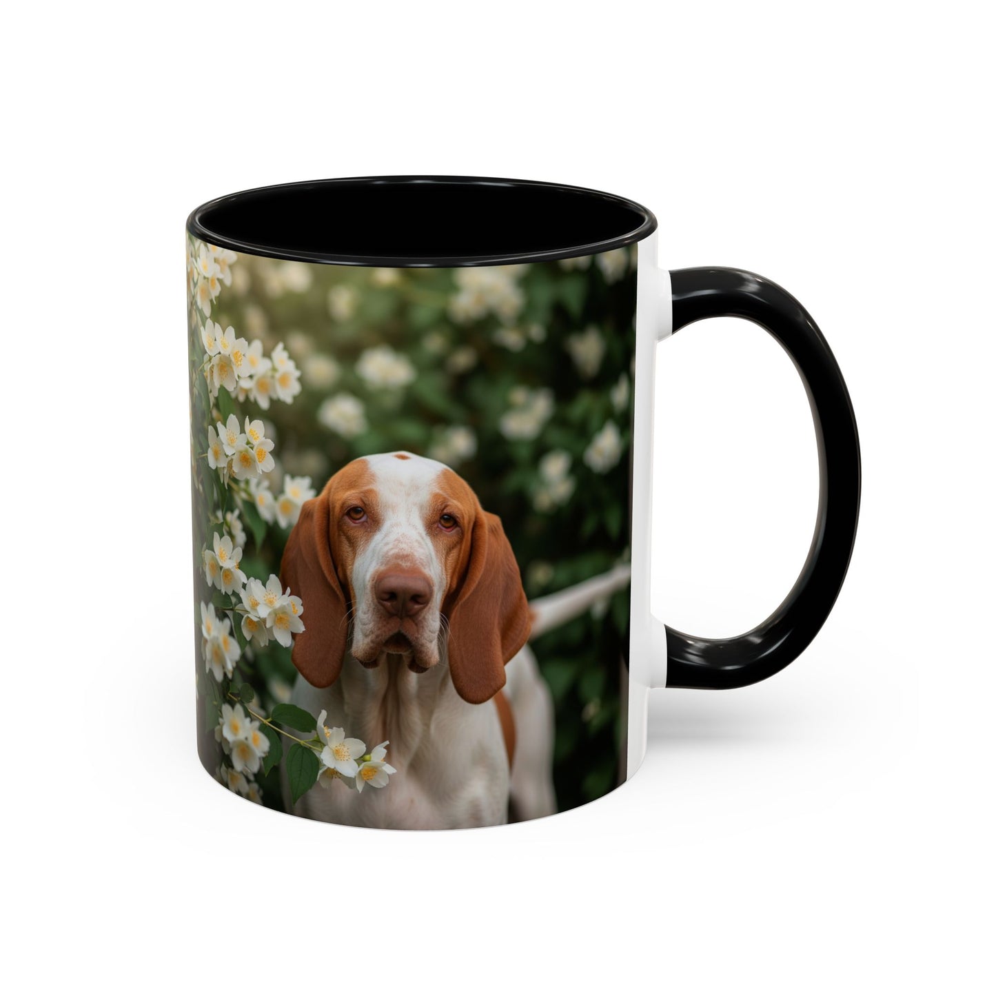 Bracco Italiano Accent Coffee Mug - Perfect Gift for Dog Lovers