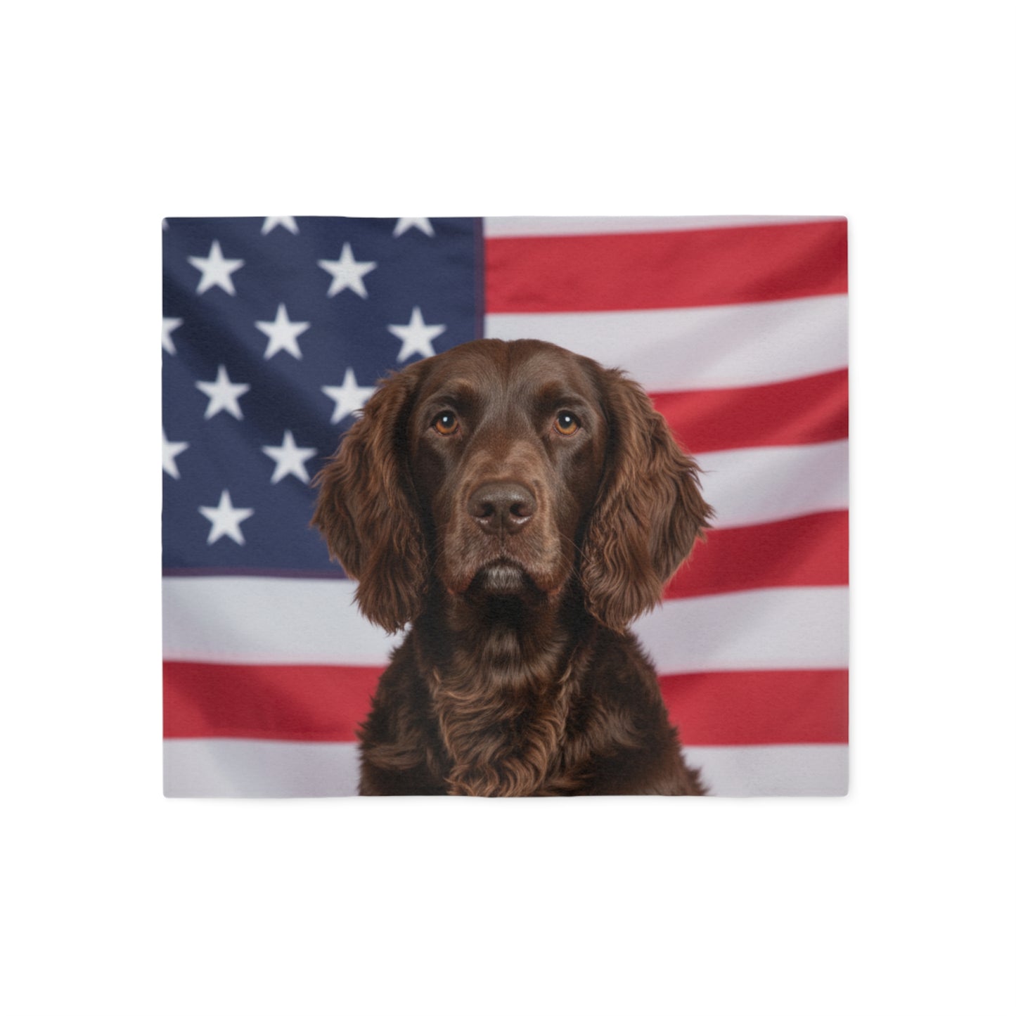 American Water Spaniel Patriotic Blanket