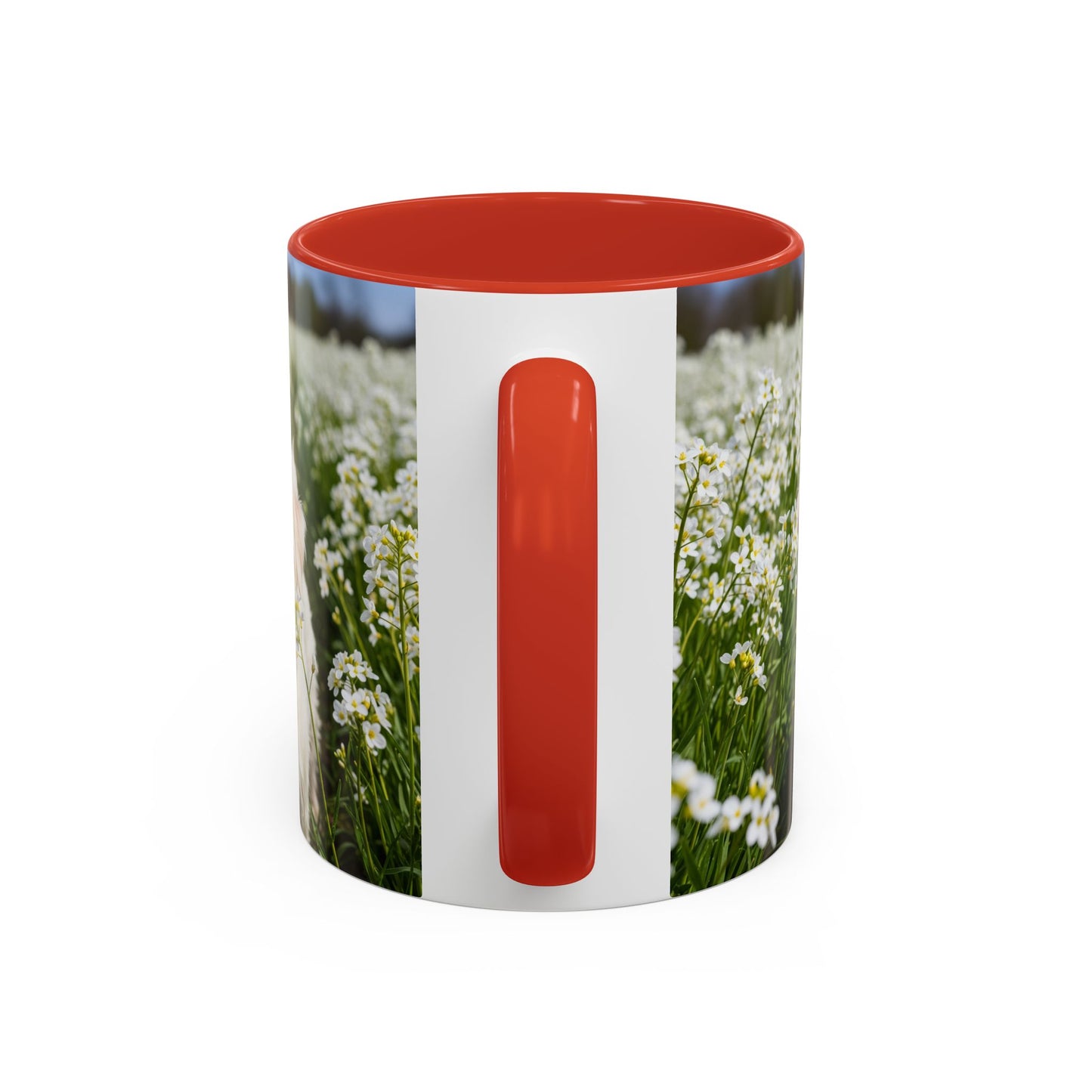 Taza de café con acento Kromfohrlander: el regalo perfecto para los amantes de los perros