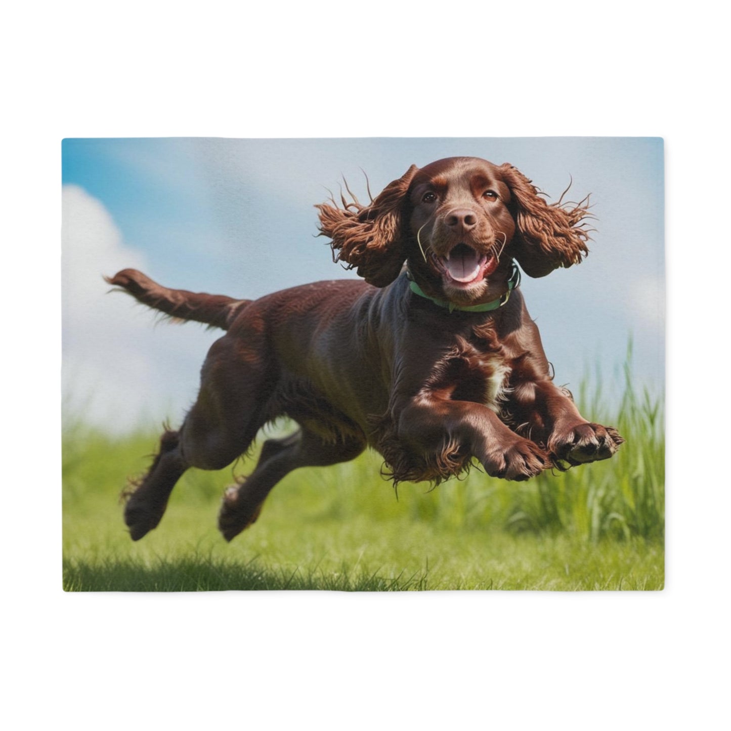 Couverture en sweat-shirt Irish Water Spaniel