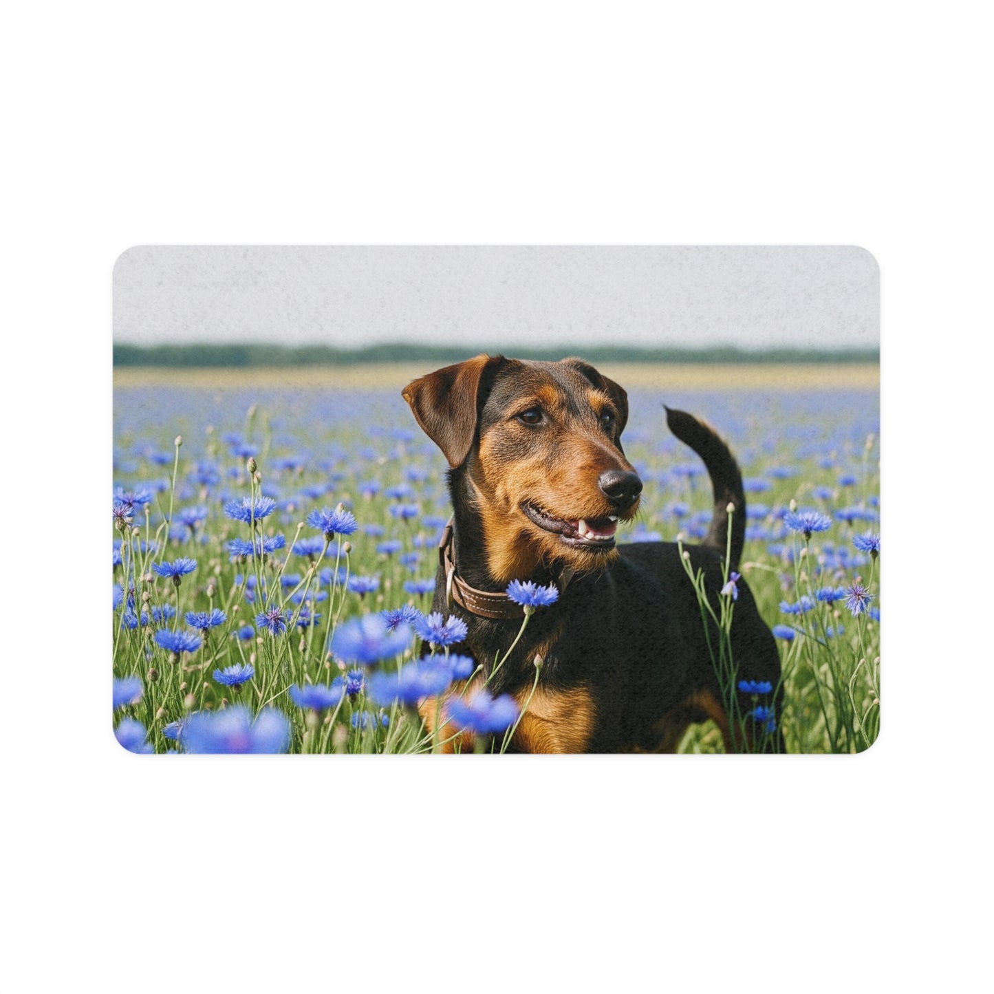 Pet Food Mat (12x18) - Deutscher Jagdterrier