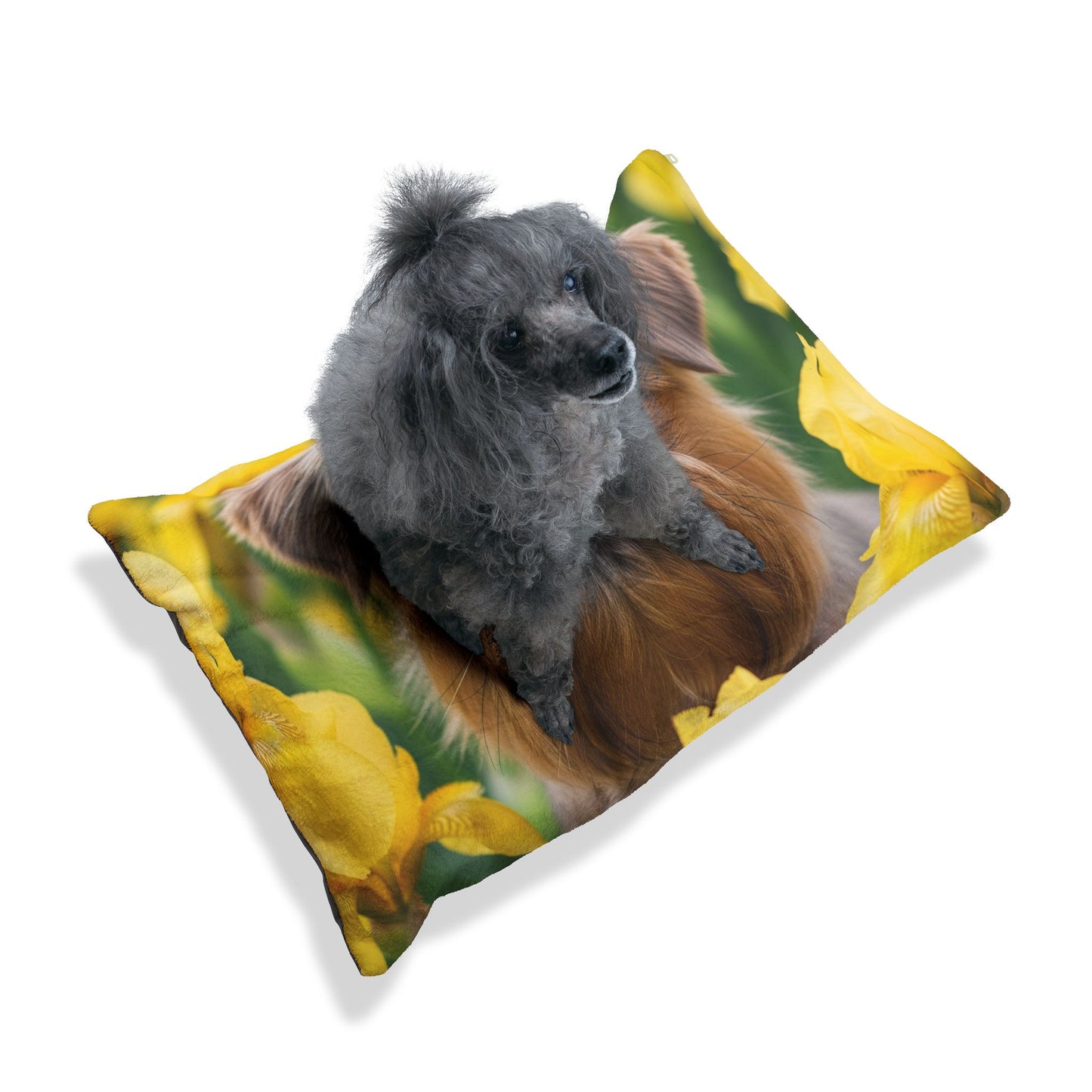 Silky Brussels Pet Bed