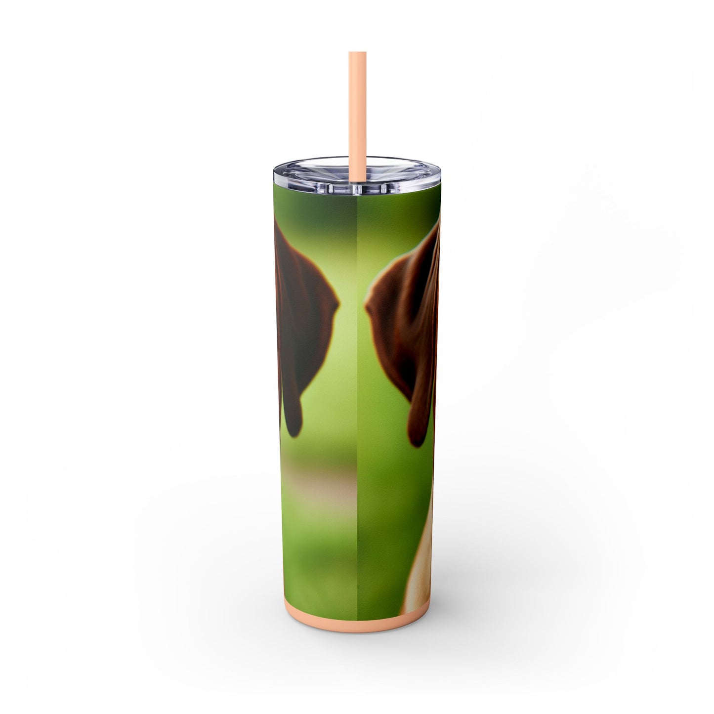 Rhodesian Ridgeback Skinny Tumbler with Straw, 20oz