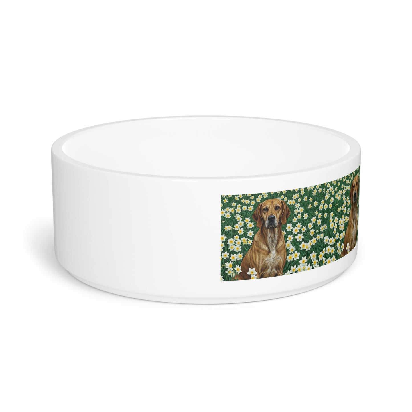 Porcelaine Pet Bowl