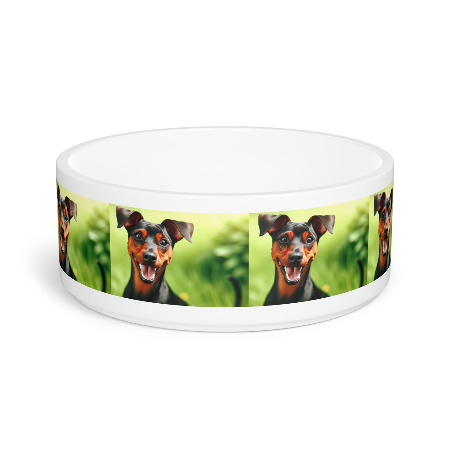 German Pinscher Pet Bowl