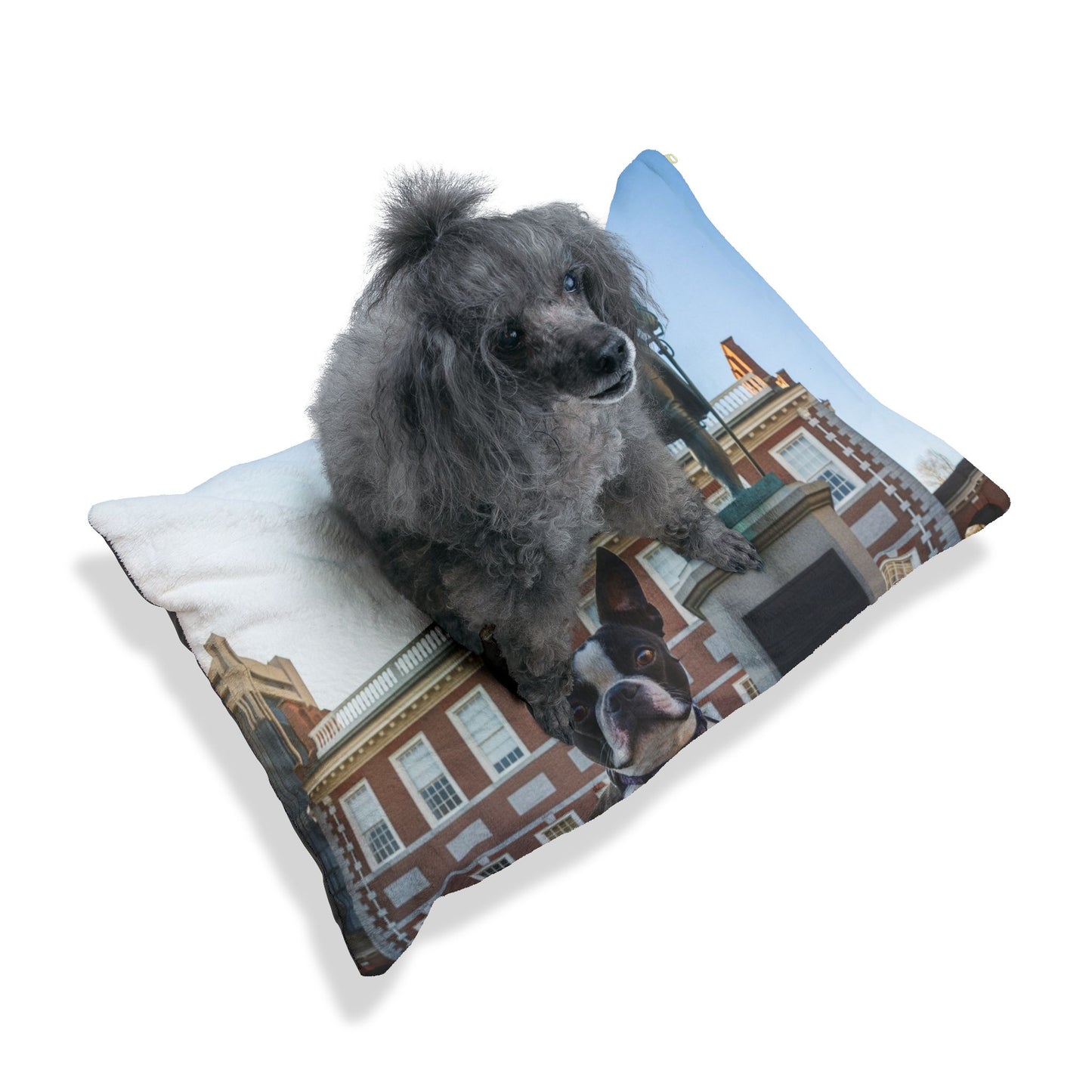 Boston Terrier Pet Bed