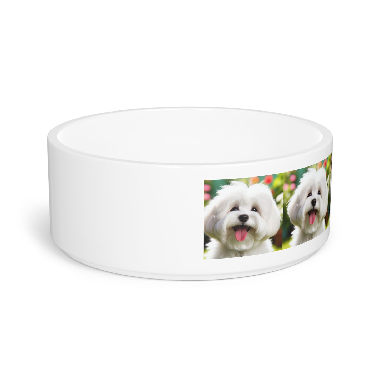 Coton de Tulear Dog Pet Bowl