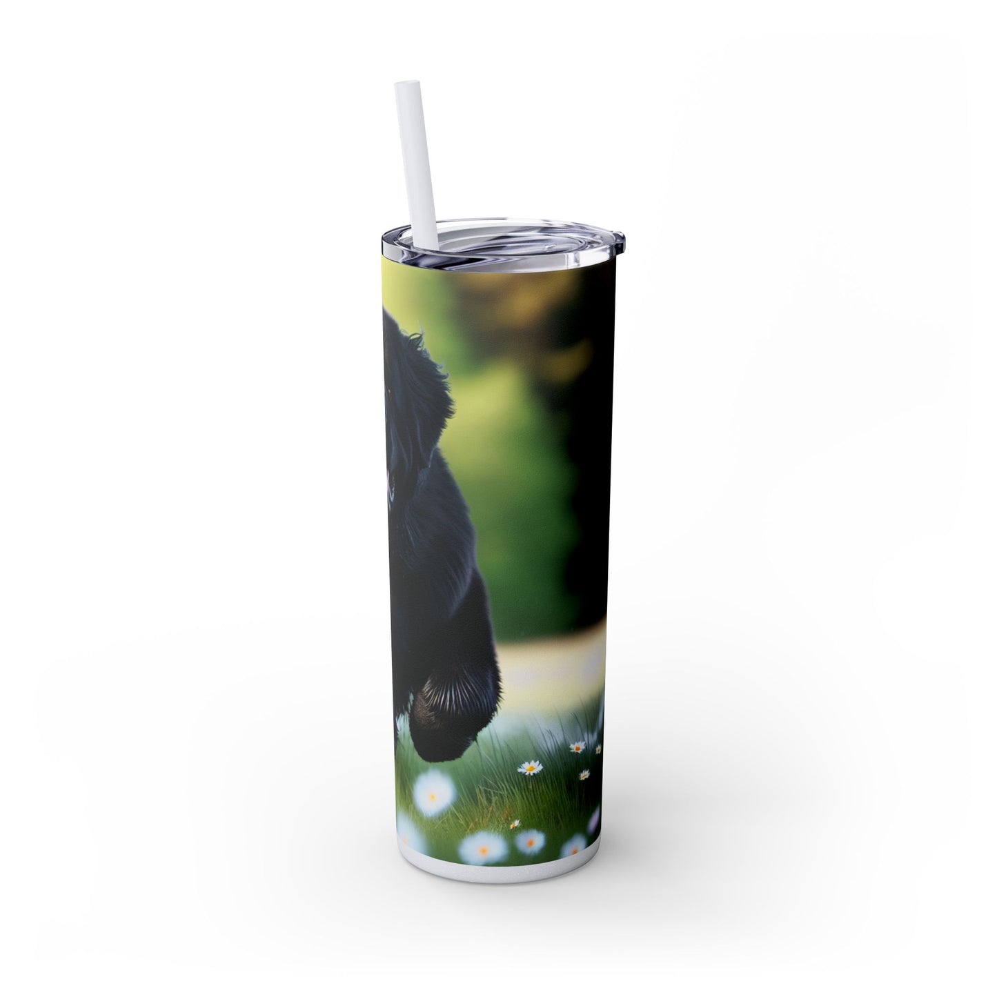 Newfoundland Skinny Tumbler with Straw, 20oz