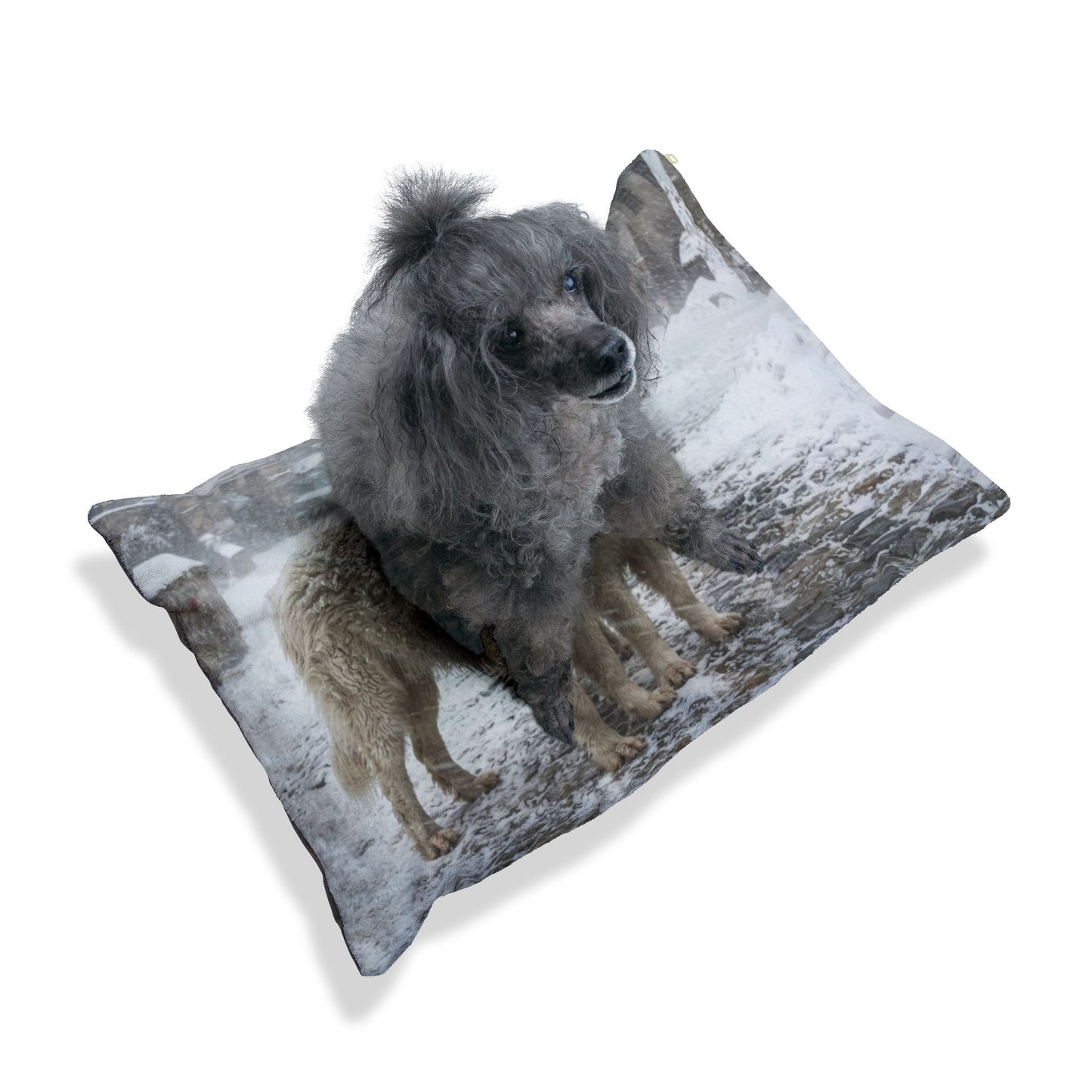 Romanian Mioritic Shepherd Dog Pet Bed