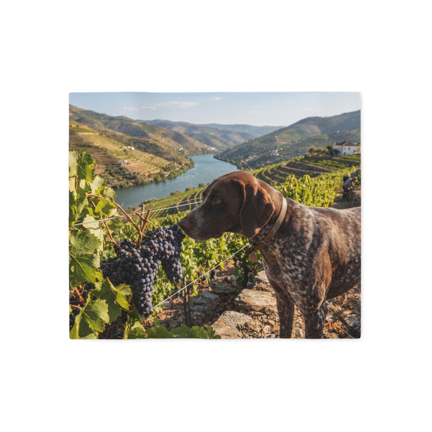 Portuguese Pointing Dog Blanket
