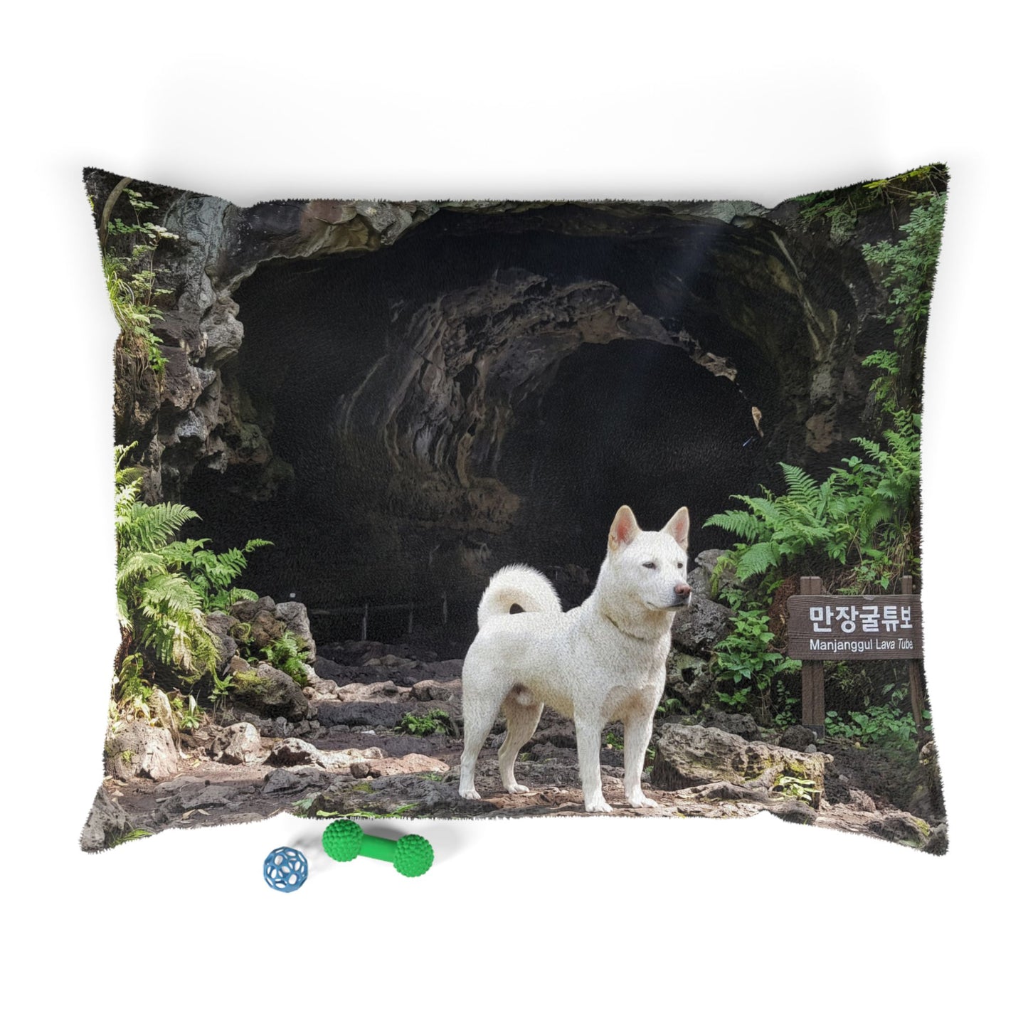 Korean Jindo Dog Pet Bed