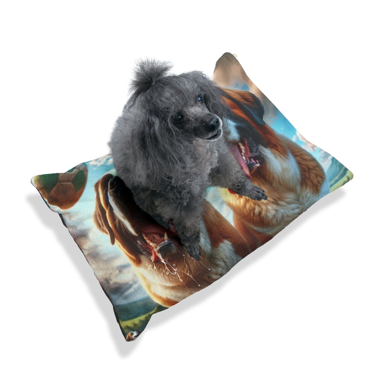 Saint Bernard Pet Bed