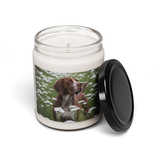 Braque du Bourbonnais- Scented Soy Candle, 9oz